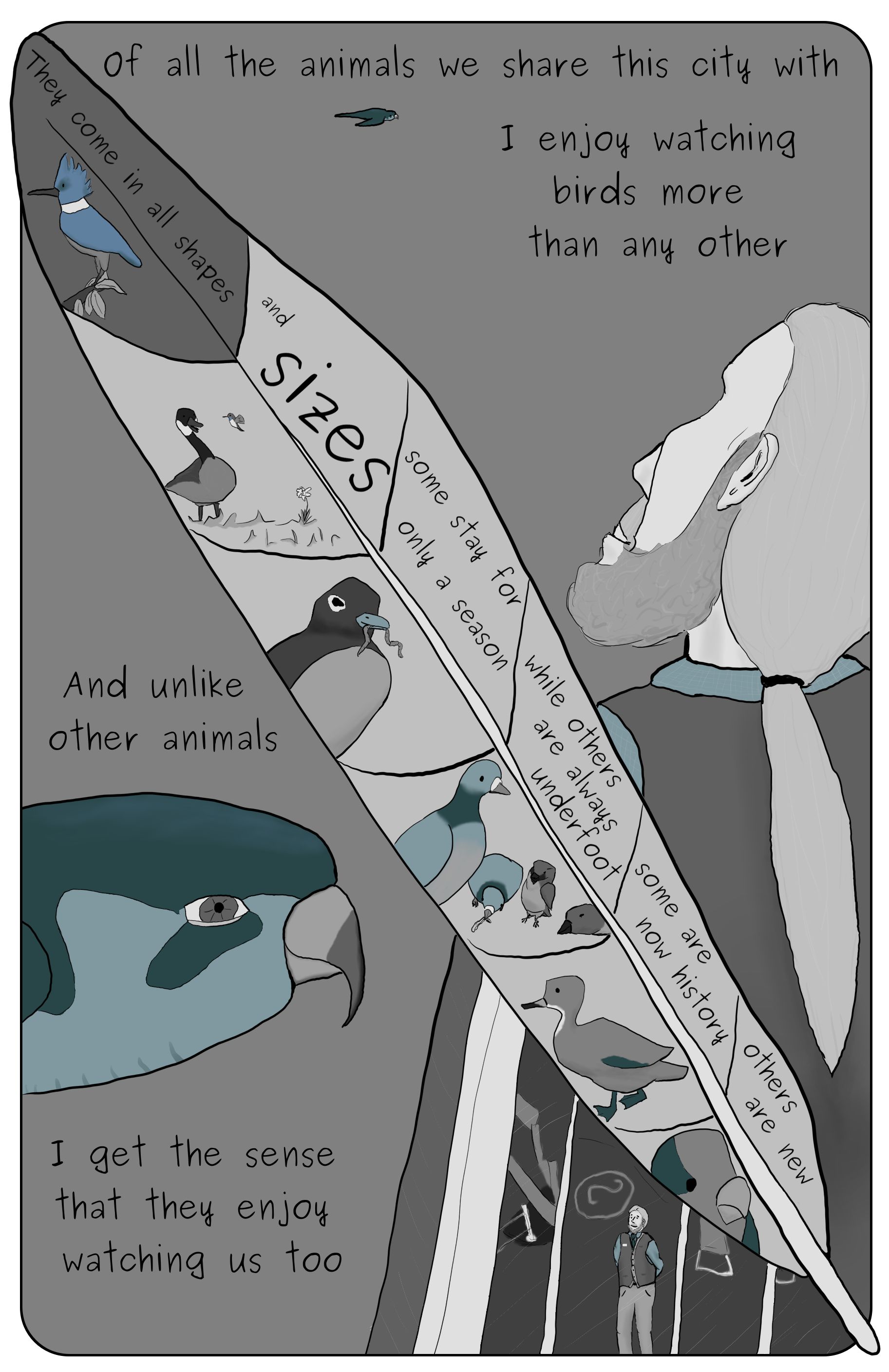 A comic featuring Phillip Gerba looking at a falcon as the falcon looks at him in the observatory at One World Trade Center, as well as a feather whith depictions of a Kingfisher, a Goose, a Humming bird, a robin, a pair of pigeons, a pair of sparows, a Labrador Duck, and a Monk Hood Parakeet.