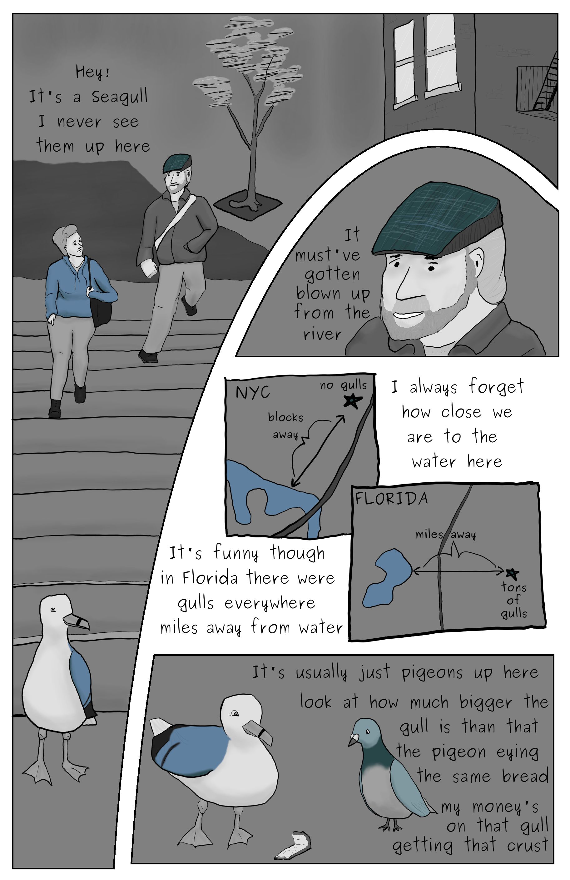 A comic featuring Phillip Gerba and Shannon Haddock walking down stairs and talking about the diffreance between seagulls and pidgeons..