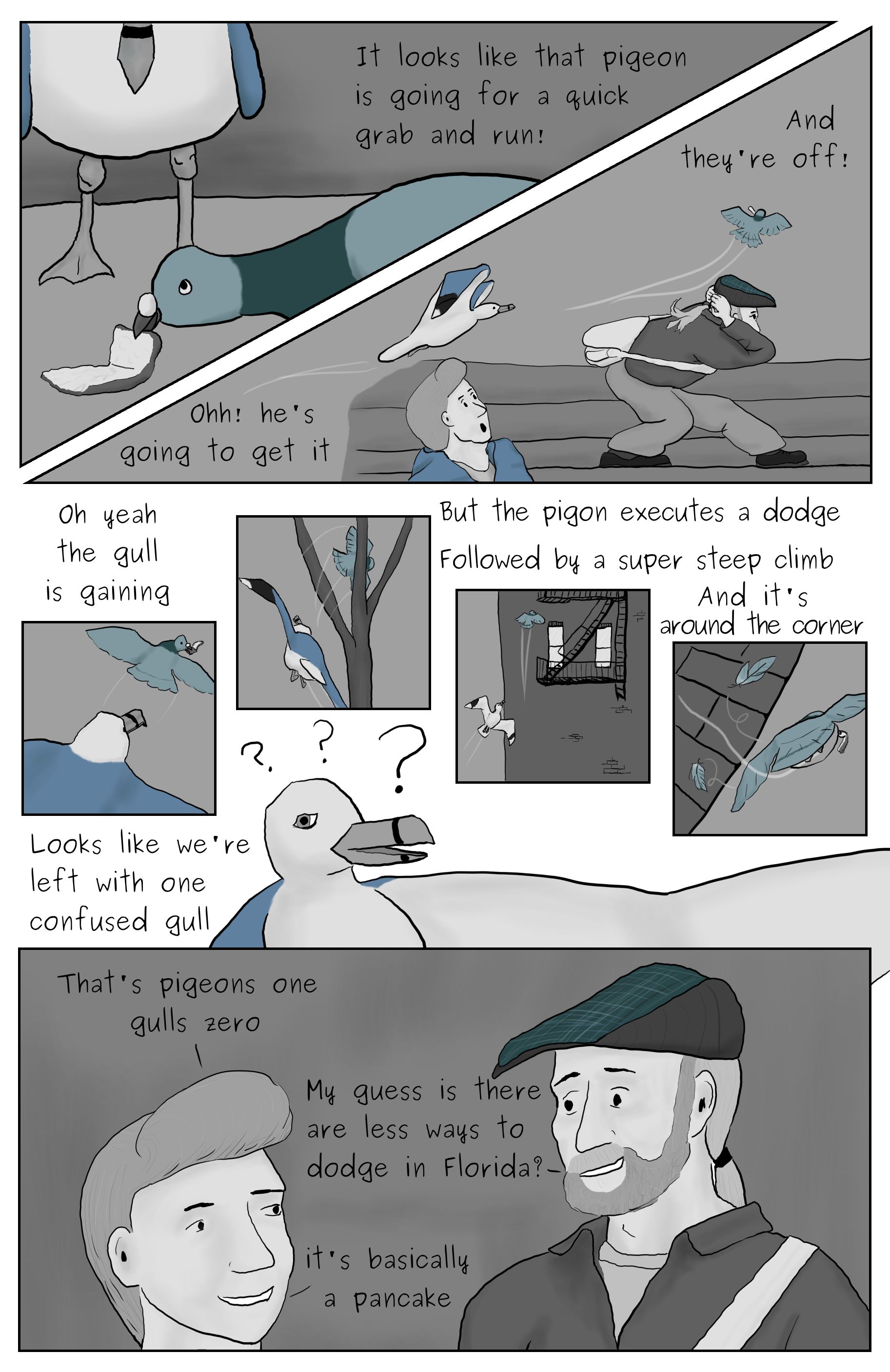 A comic featuring Phillip Gerba and Shannon Haddock observing a pigeon snatching away a crust of bread from a seagull. The seagull chaces the pigeon, but the pigeon evades the gull with it's supirior agility. Shannon and Phillip take this as evedance of the reletive success of pigeons over seagulls in New York City.