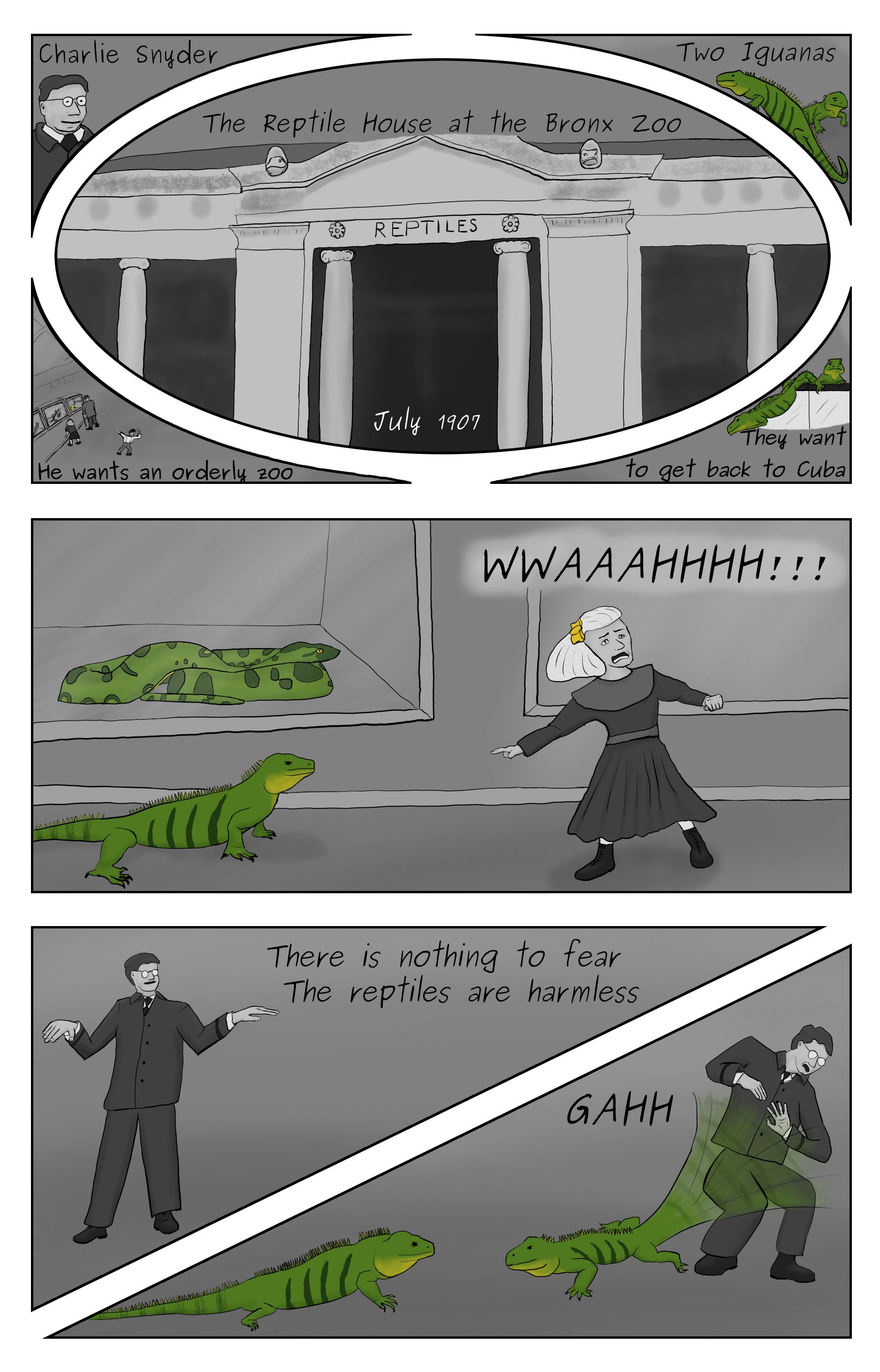 A comic featuring an introduction to Charlie Snyder and his reptile house at the Bronx Zoo and a pair of Cuban Iguanas, and the iguanas escaping their cages and whipping Snyder in the face.