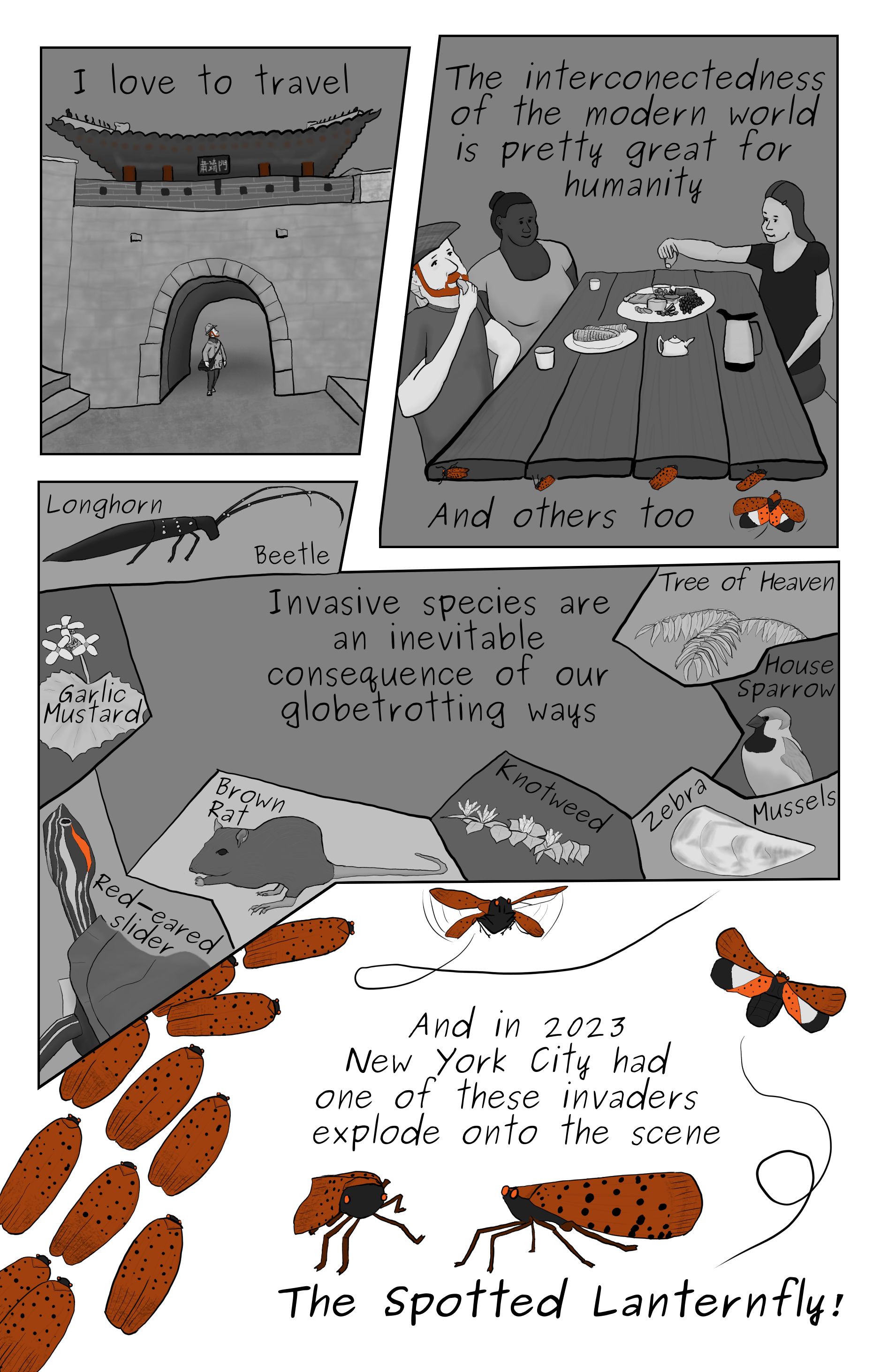 A comic featuring Phillip walking through a gate in the Seoul city wall, Phillip enjoying a picinic with friens while lanterflies crawl up the side of the picnic table, a list of invasive species including tree of heaven, house sparrow, zebra mussels, Knotweed, brown rat, red-eared slider, garlic mustard, and longhorn beetle, and  a bunch of lanternfly depictions.