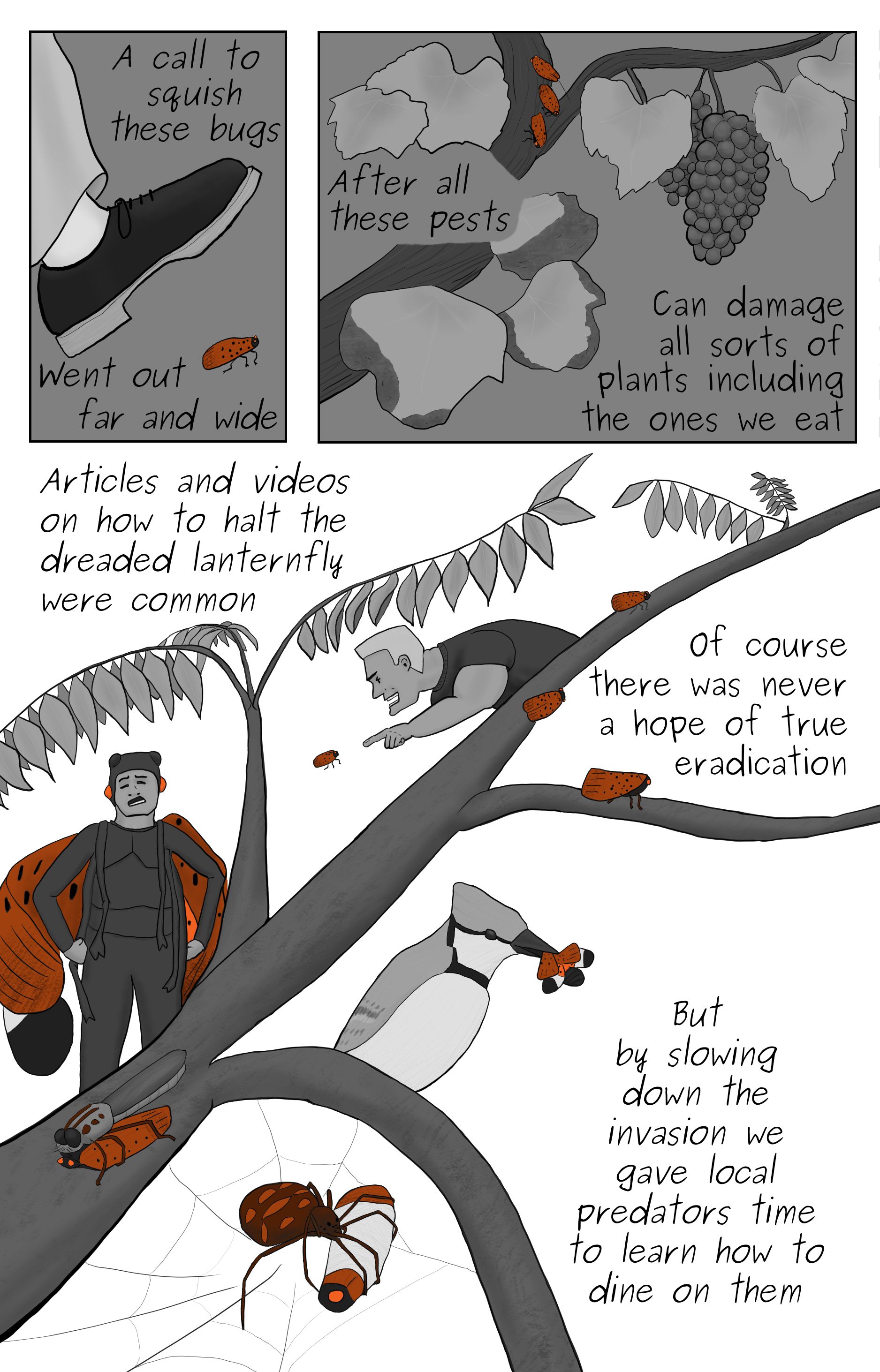 A comic featuring A lanternfly about to be squished by a foot, lanternflies damaging grape vines, a man yellng at a lanternfly, a blujay spider and assasan bug eating lanterflies, and Bowen Yang dressed as a spotted lanternfly.