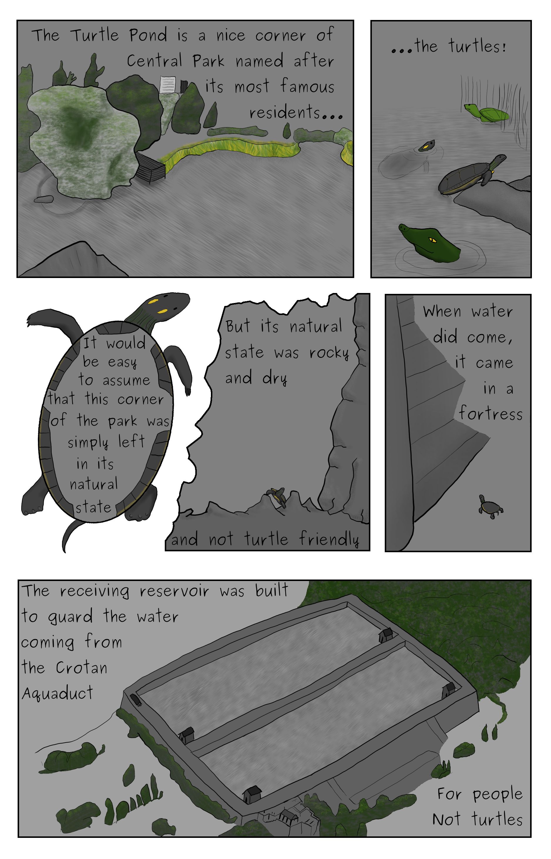 A comic featuring the Turtle Pond in Central Park, a shocase of turtles found in Central Park, an easten painted turtle climbing over rocks, then looking up at a resoviur, and the old reciving rsoviour.